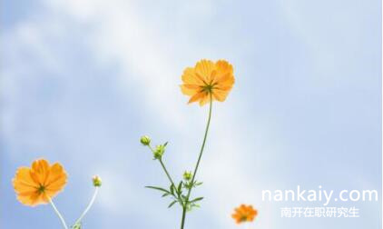 南開大學(xué)在職研究生 南開大學(xué)